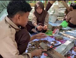 Berita Foto: Kegiatan Kokurikuler Pengolahan Sampah Daun jadi Pupuk di SMPN 5 Majene