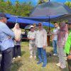 Wabup Majene Hadiri Pesta Panen di Sendana, Serahkan Bantuan Alsintan untuk Perkuat Ketahanan Pangan
